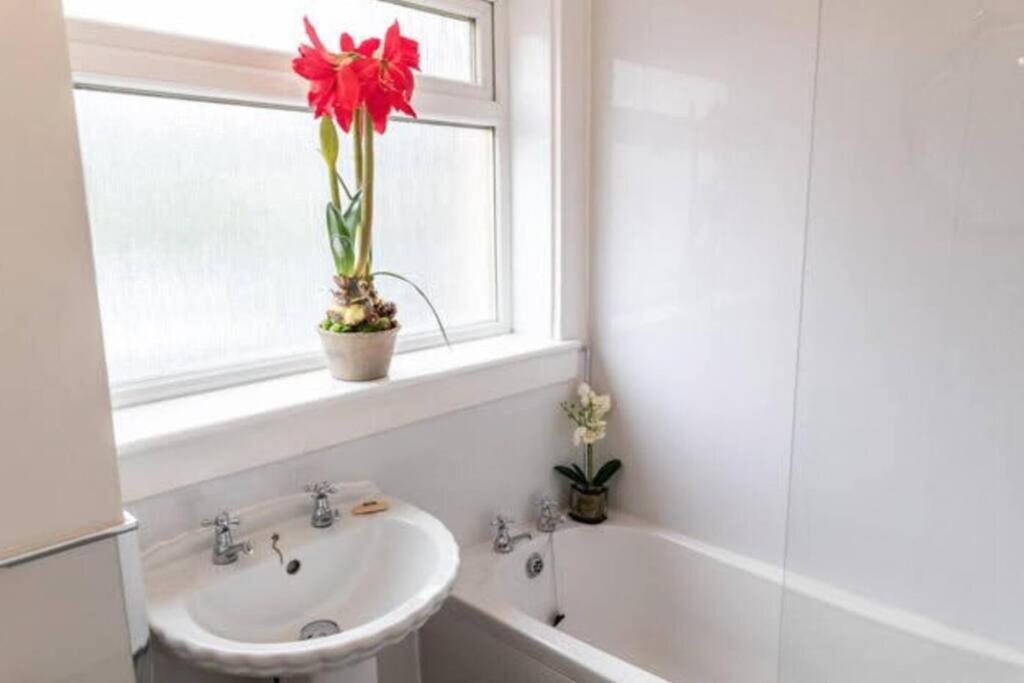 דירות גלאזגו Cosy 1 Bed With Parking In City Centre מראה חיצוני תמונה
